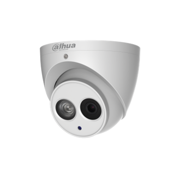 値引き Dahua DH-SD6AL830V-HNI PTZ ネットワークカメラ